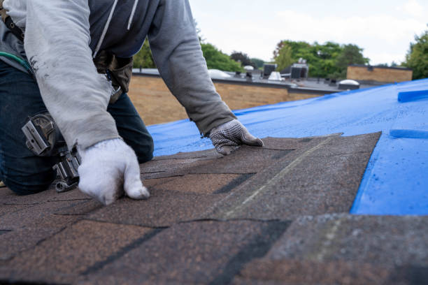 Roof Gutter Cleaning in Redondo Beach, CA